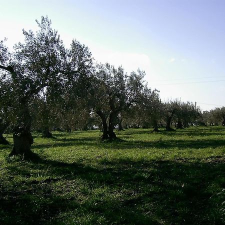 Agriturismo Baglio Calanchi Модика Екстериор снимка
