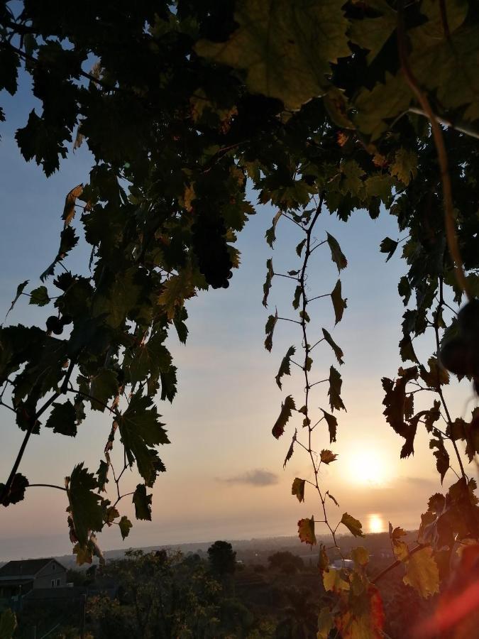 Agriturismo Baglio Calanchi Модика Екстериор снимка