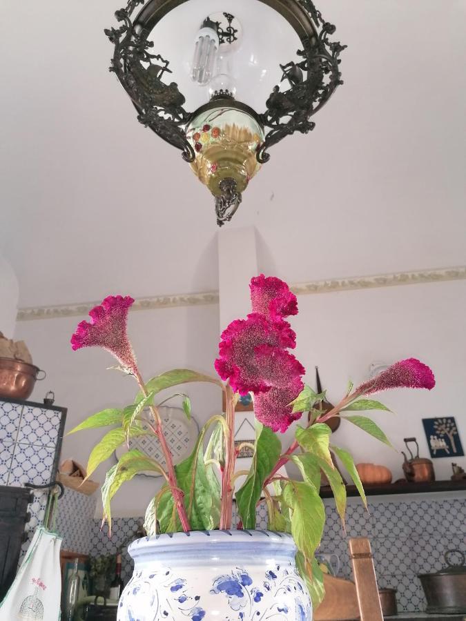 Agriturismo Baglio Calanchi Модика Екстериор снимка