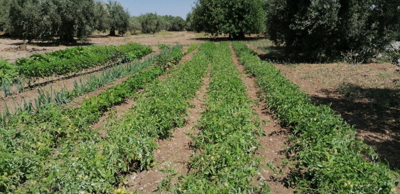 Agriturismo Baglio Calanchi Модика Екстериор снимка